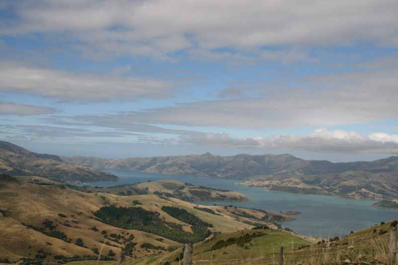 Nieuw-Zeeland 2011 - 2115